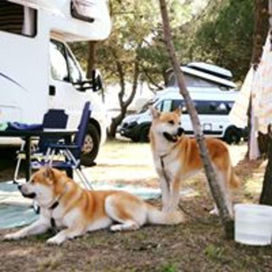 Mcm Camping Ulcinj Exterior photo