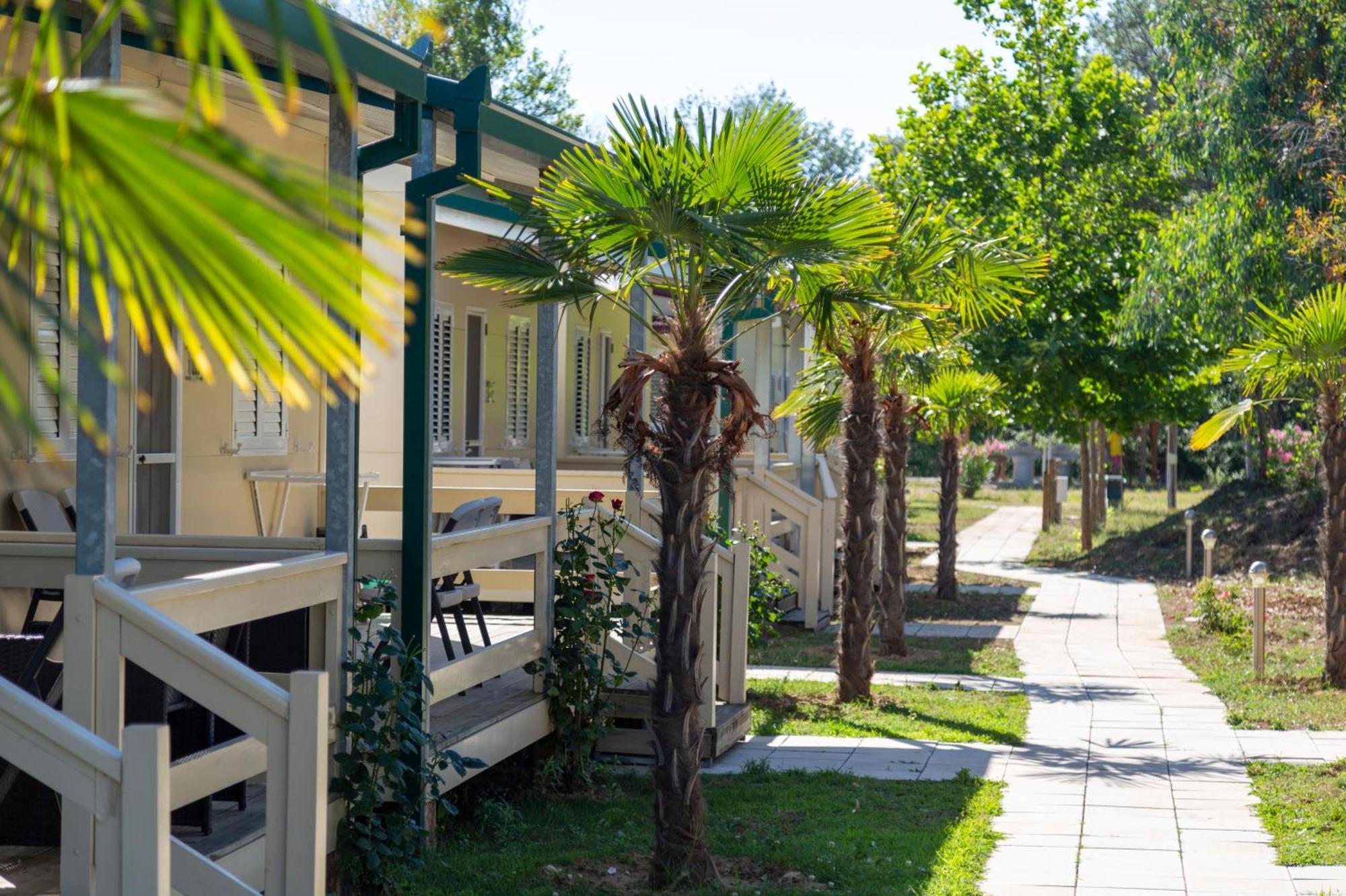 Mcm Camping Ulcinj Exterior photo